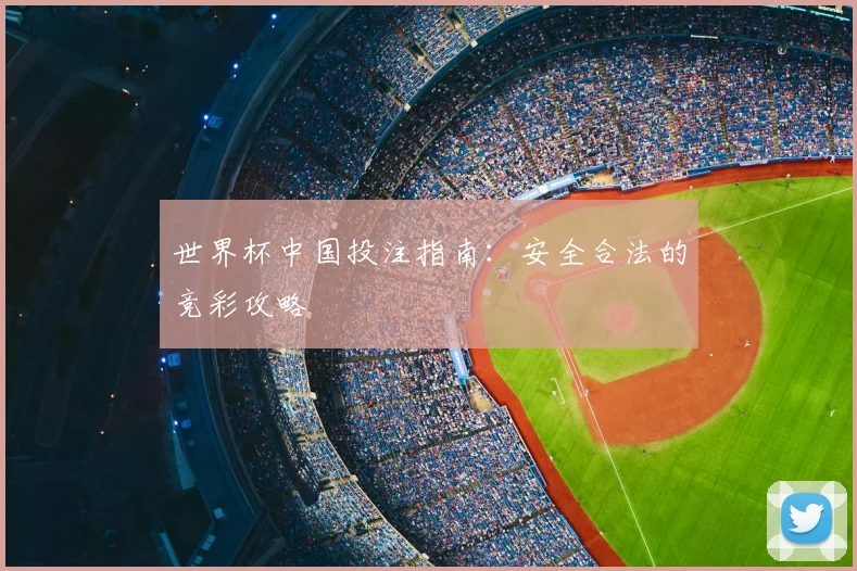 世界杯中国投注指南：安全合法的竞彩攻略