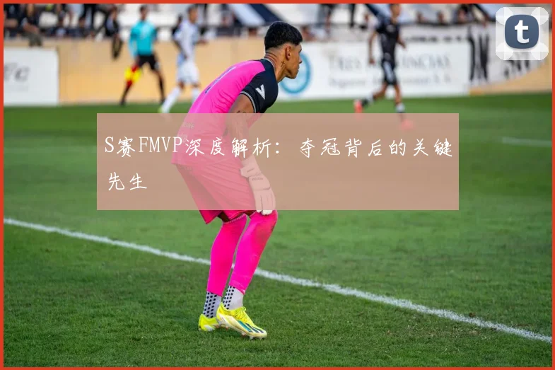 S赛FMVP深度解析:夺冠背后的关键先生