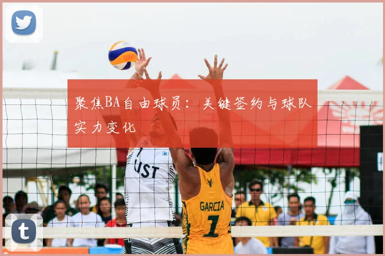 聚焦BA自由球员：关键签约与球队实力变化